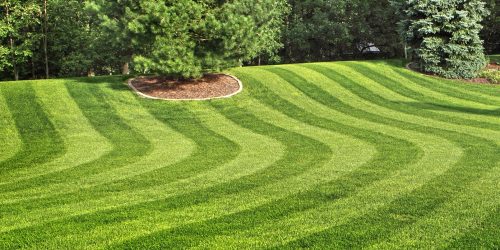 Mowing, Lawn Care, Lawn Mowing, Grass Cutting, Lawn Maintenance, Lawn Care Business