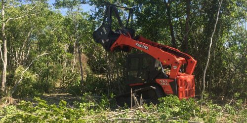 Forestry Mulching, Brush Clearing, Vegetation Clearing