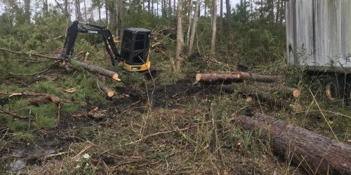 Land Clearing, Lot Clearing, Brush Clearing, Site Clearing, Tree Clearing