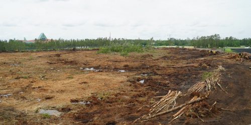 Land Clearing, Lot Clearing, Brush Clearing, Site Clearing, Tree Clearing