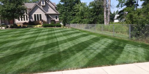 Lawn Mowing, Lawn Care, Grass Cutting, Yard Service, Lawn Maintenance